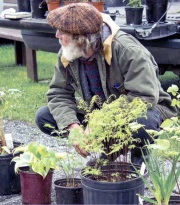 Elderly-man-with-plants
