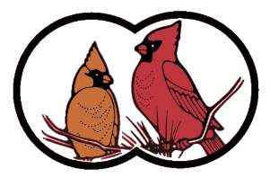 Activités du Club des ornithologues de Brome-Missisquoi