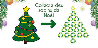 Récupération de sapins de Noël