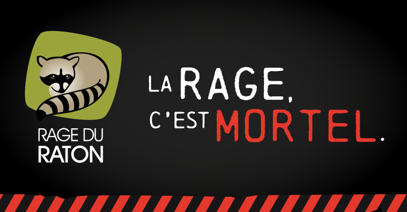 Lutte contre la rage : Misez sur la prévention